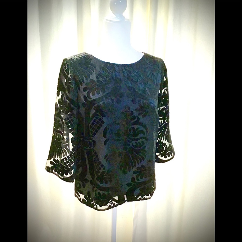 RSVP by Talbots Floral Velvet Burnout Top NWT